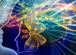 Sauver Le Jardin d’Enfants de la Planète Terre